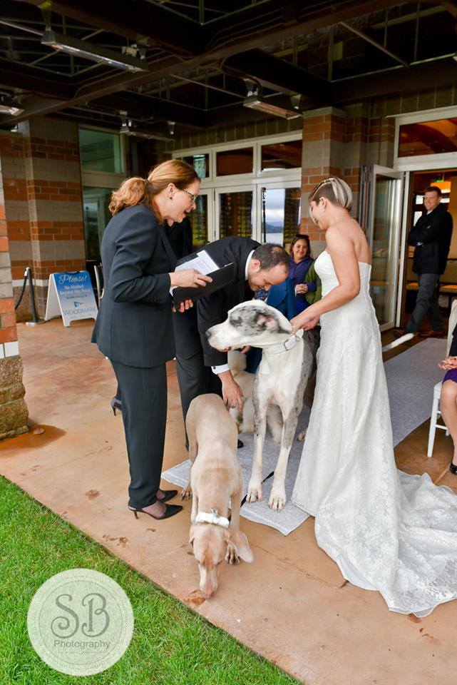 Can I have my dog at my wedding, Dogs in weddings, elopement with dog, Seattle Wedding Officiants loves dogs