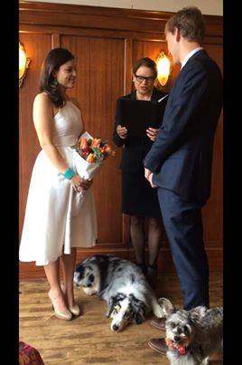 Can I have my dog at my wedding, Dogs in weddings, elopement with dog, Seattle Wedding Officiants